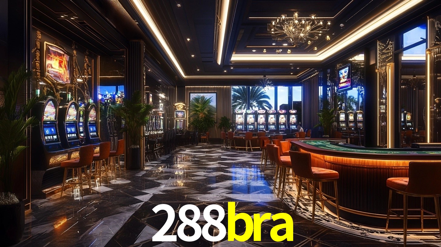288bra App Interface